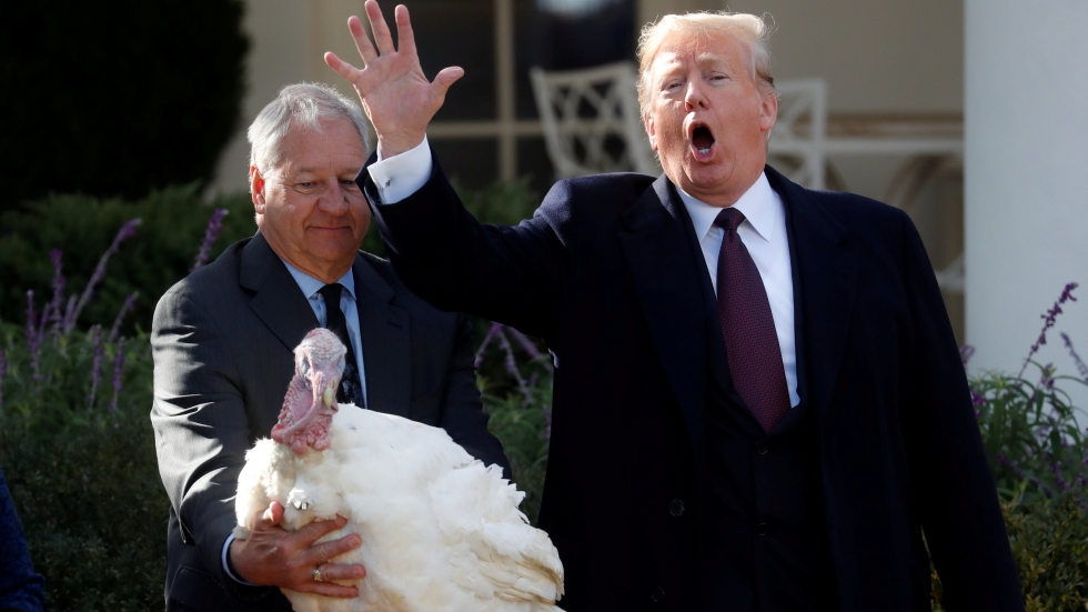 За Деня на благодарността: Тръмп помилва две пуйки