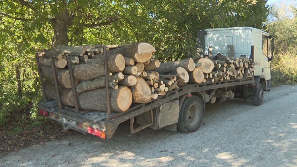 Има ли незаконна сеч: Собственици на гори скочиха срещу фирма, която разчиства път край Мездра