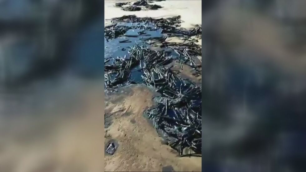 Затвориха четири плажа в Мексико заради петролен разлив
