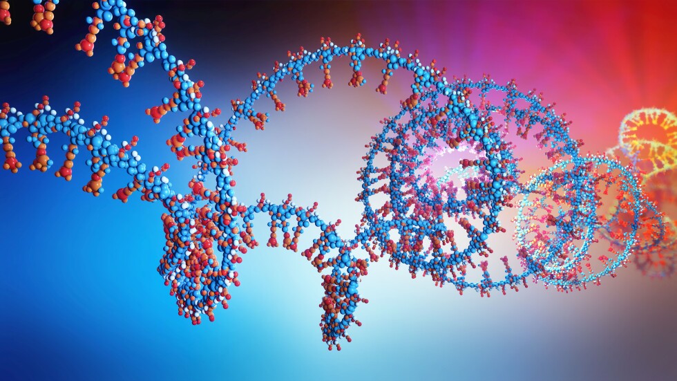 Канадски учени откриха ген, който пречи да се напълнява