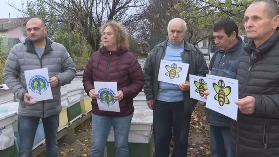 Пълна забрана на пестицидите: Пчелари от цяла Европа с петиция до Брюксел
