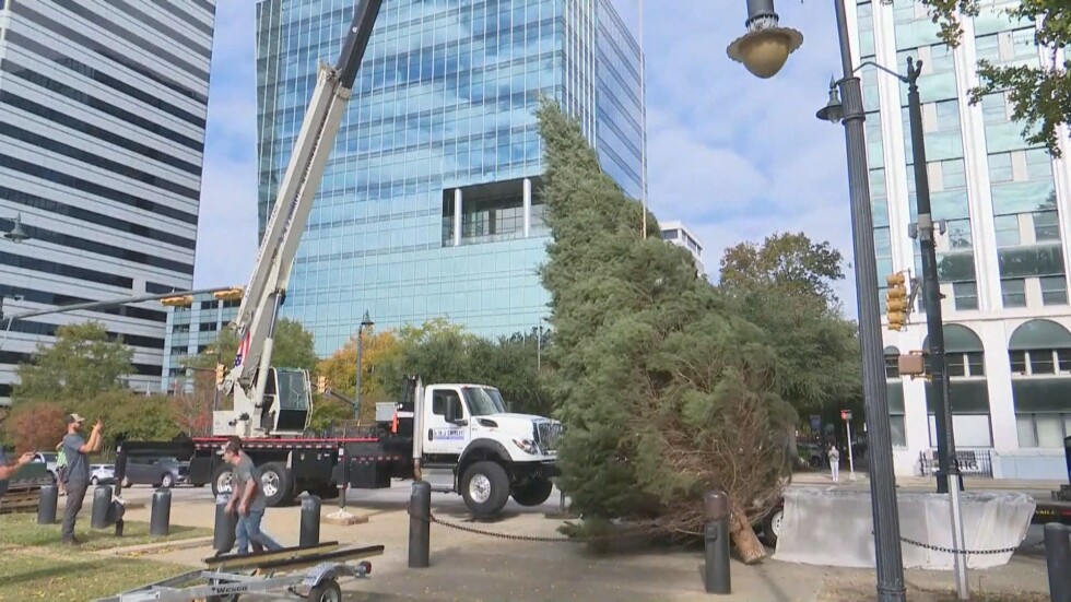 Чикаго вече си има 14-метрова коледна елха (ВИДЕО)