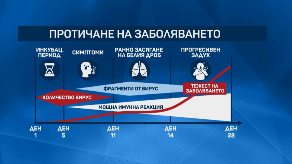 Антителата срещу COVID-19 могат да паднат наполовина за 1 ден