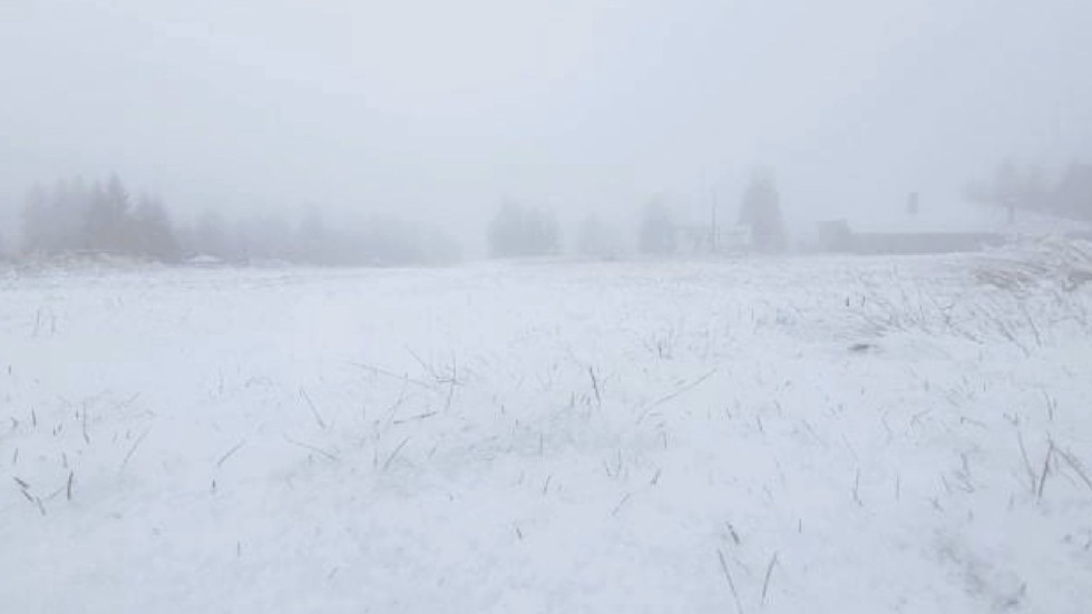 В очакване на ски сезона: Сняг на Пампорово (ВИДЕО И СНИМКИ)