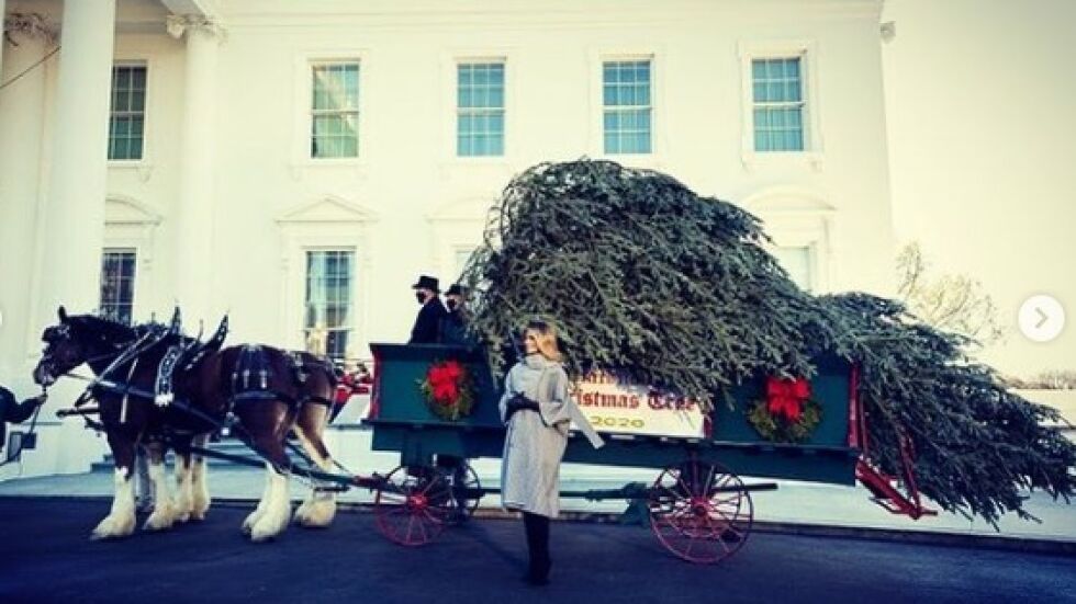 Последната Коледа на Мелания в Белия дом: 6-метрова елха пристигна с талига