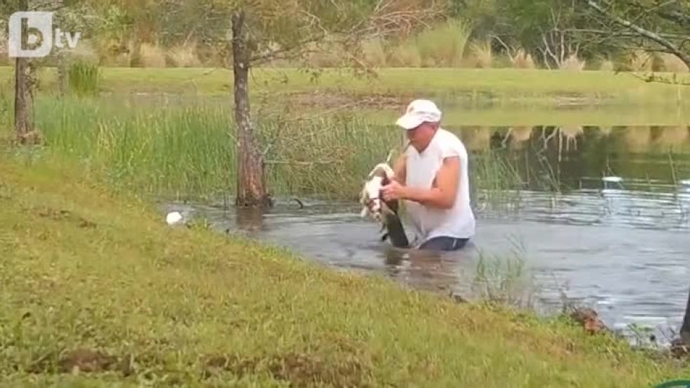 Мъж пребори алигатор с голи ръце, за да спаси кучето си (ВИДЕО)