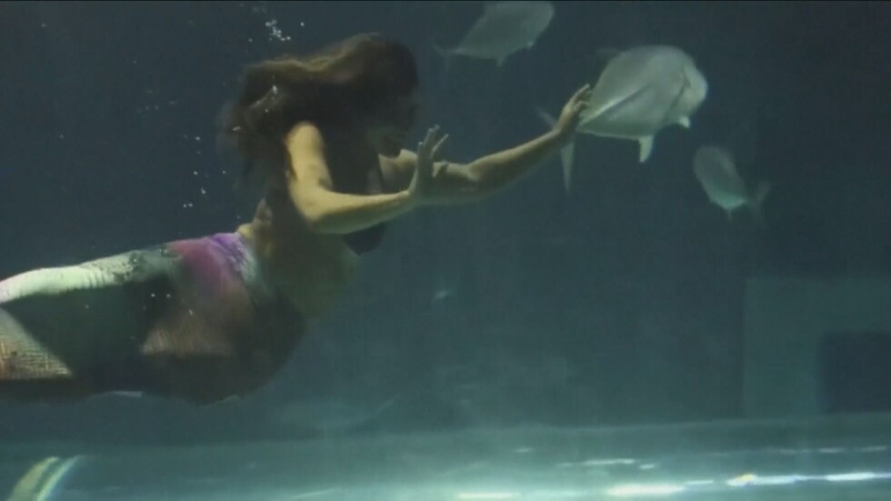 Атракция: Русалка в аквариума на Рио де Жанейро (ВИДЕО)