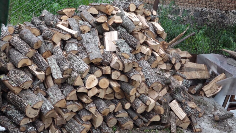 На прага на зимата: Селища в Бургаско останаха без дърва за отопление