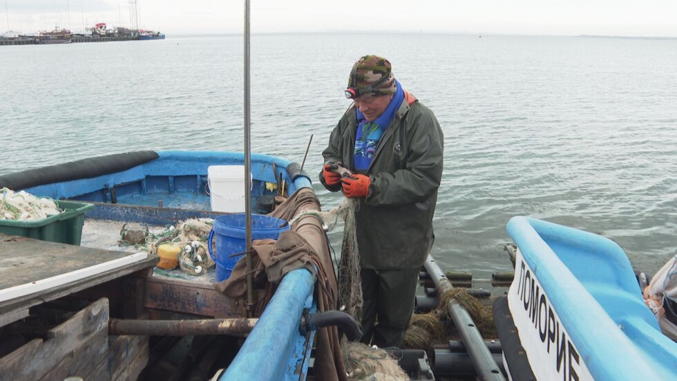 В навечерието на Никулден: Без пресен паламуд, рибарите се оплакват от слаб сезон