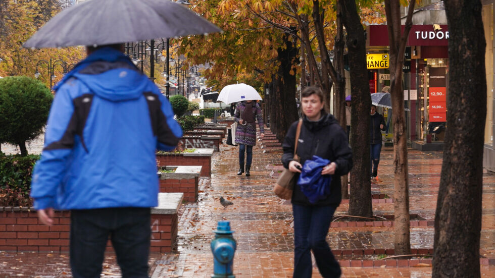 Интензивни валежи и паднали дървета в София