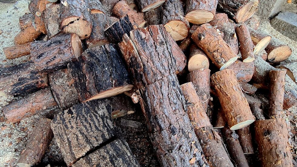Жители на община Котел бедстват заради липса на дърва за огрев