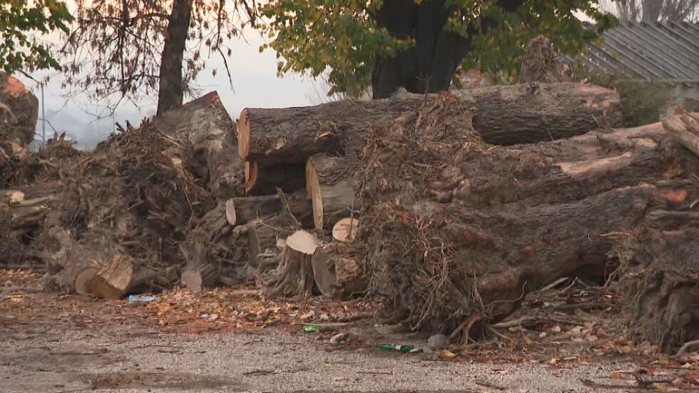 Защо уж безплатните дърва в Карловско след наводнението се плащат?