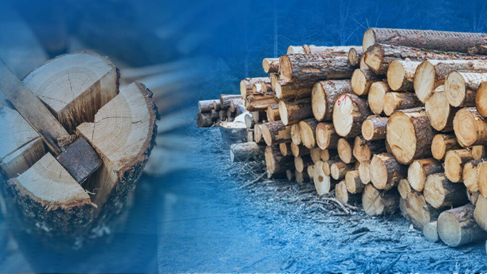 Държавата отчита рекорден добив на дърва