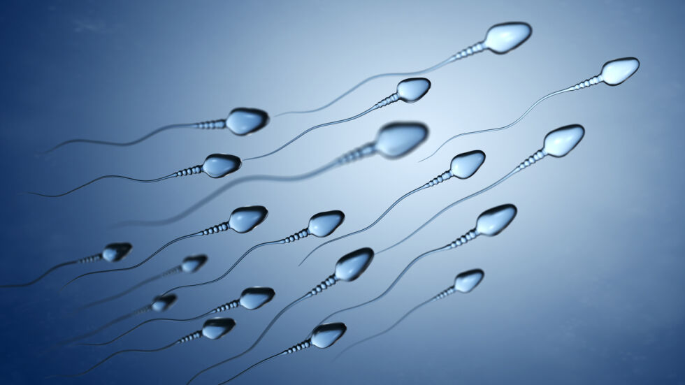 Проучване: Броят на сперматозоидите е намалял с 50% за половин век