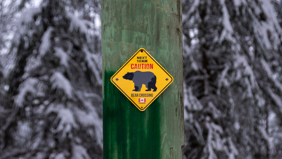Мечка гризли е убила двама в национален парк в Канада
