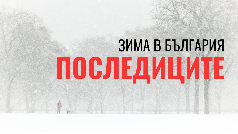 ОНЛАЙН РЕПОРТАЖ: Зима в България - последиците