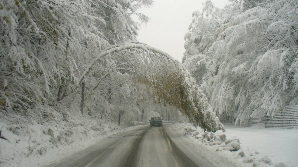 Сняг покрива цяла Северна България в неделя