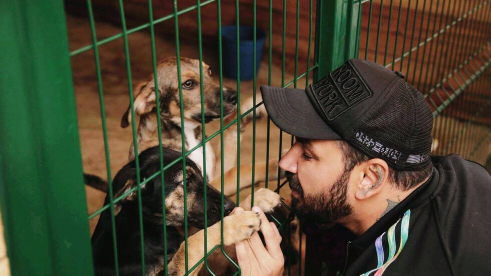 Азис занесе храна на кучета без дом