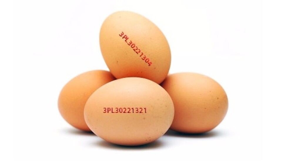 БАБХ изтегля от пазара яйца от Полша заради съмнения за салмонела