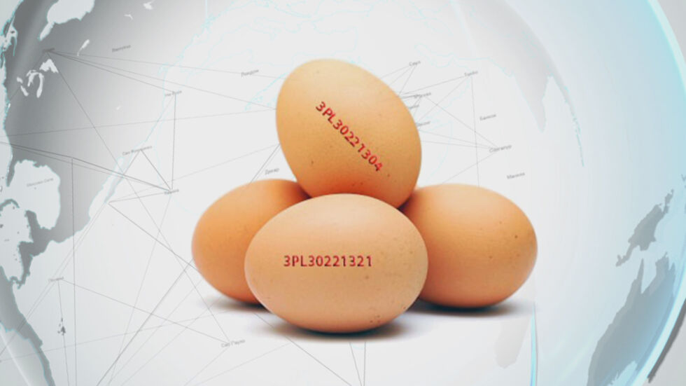 „Чети етикета”: Има ли на българския пазар яйца, заразени със салмонела