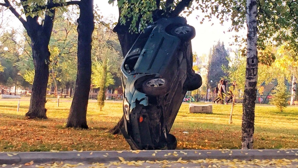 Лек автомобил „кацна” край дърво в най-новия парк в Стара Загора
