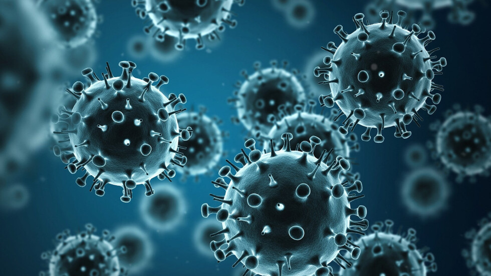 „Чети етикета”: Какви грипни щамове ще ни атакуват тази зима?