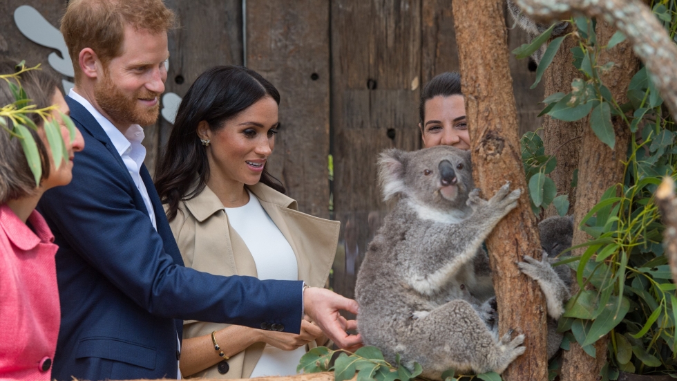 Меган и Хари в Австралия - първи подарък за бебето + среща с коала и ехидна