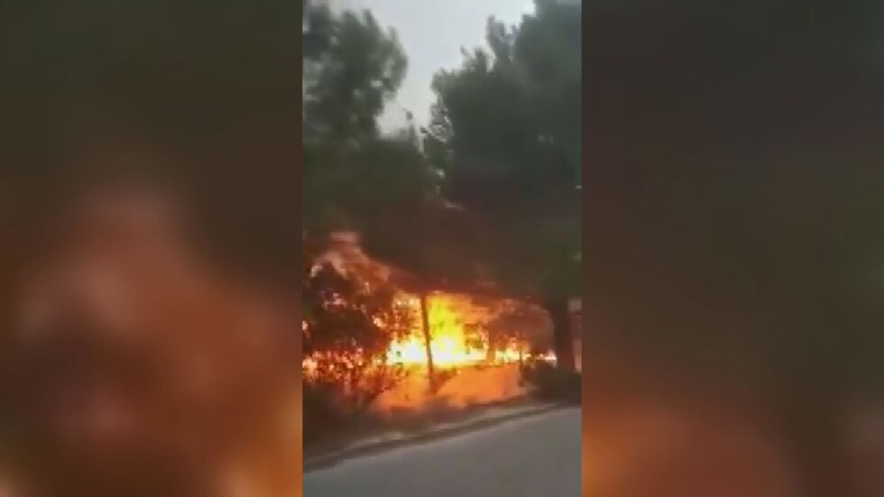 Пожар на Халкидики, изгорели са 4000 дка гори (ВИДЕО)