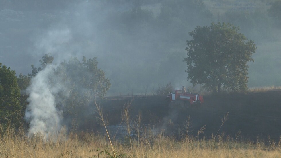 Горският пожар в Хасковско: Спряха огъня на километър от с. Брегово
