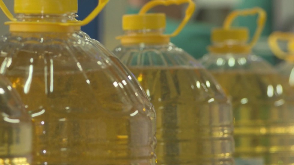 Производители на олио се обявиха „против“ забраната за внос на украинско зърно