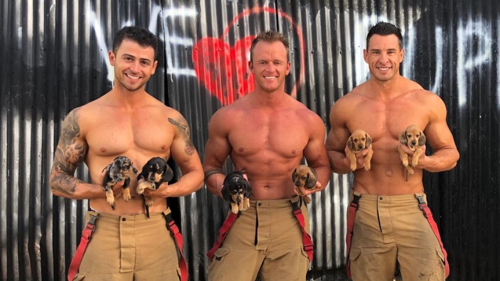 За 2021 г.: горещите австралийски пожарникари позират със спасени животни 