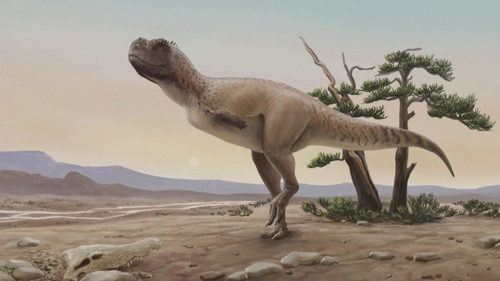 Археолози в Бразилия откриха останки от непознат вид динозавър