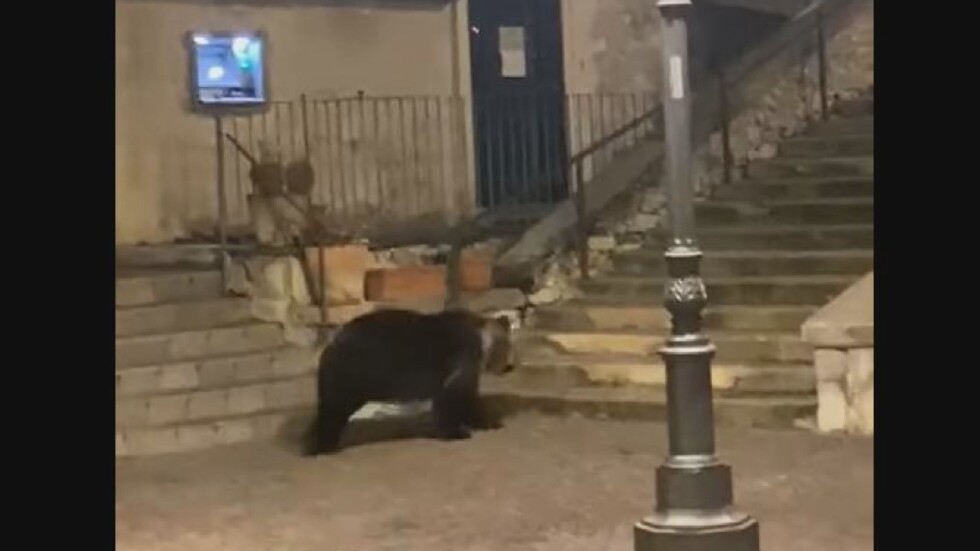 Мечка се разхожда необезпокоявана в италианско градче