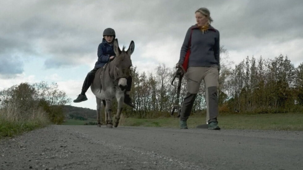 10-годишно момче от Норвегия се прибира от училище… на магаре