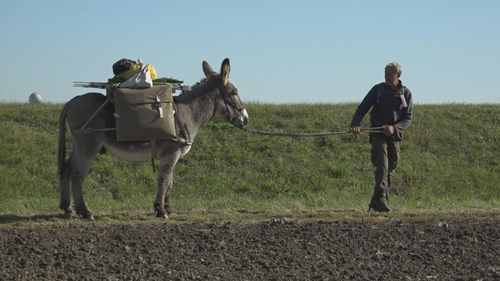 Обиколка на света с магаре: Пенсиониран германец пътешества със своя четириног приятел