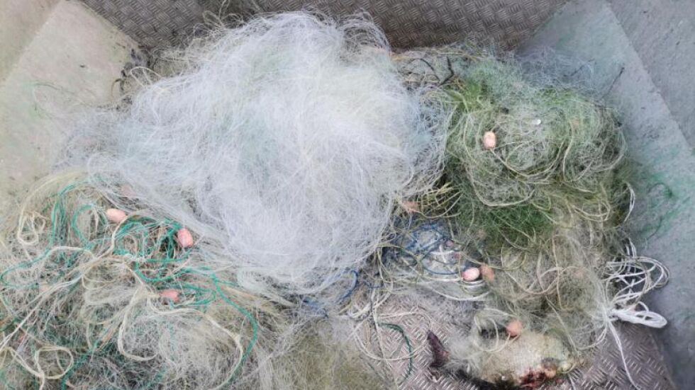2000 метра мрежи бяха извадени от язовир, освободиха рибите във водата