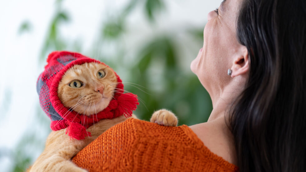 23 снимки на сладки котенца, за когато ви писне от мъките в офиса
