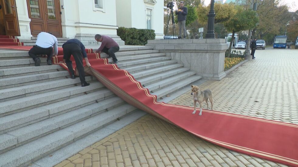 Фен на парламента: Куче посрещна новите депутати (ВИДЕО)