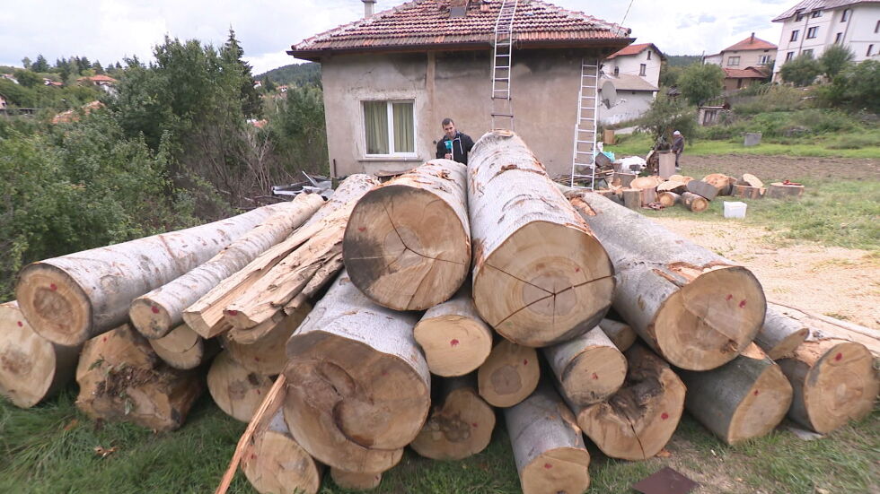 Разследване на bTV разкри незаконна схема за доставка на дърва за огрев