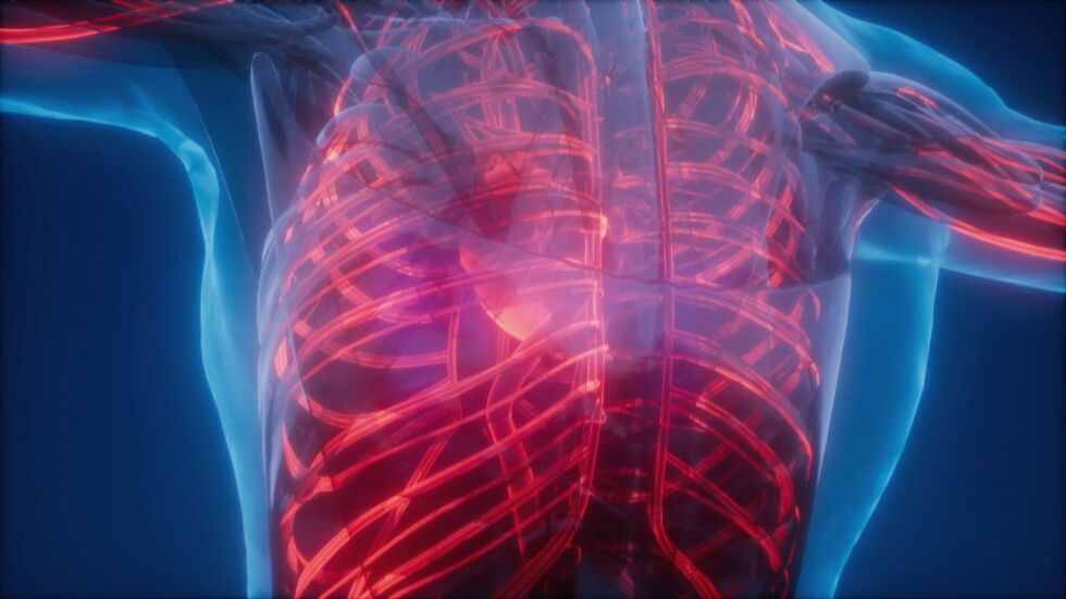  Кардиолог: Внезапното излагане на мраз при хора с високо кръвно води до конвулсия на артериите на сърцето 