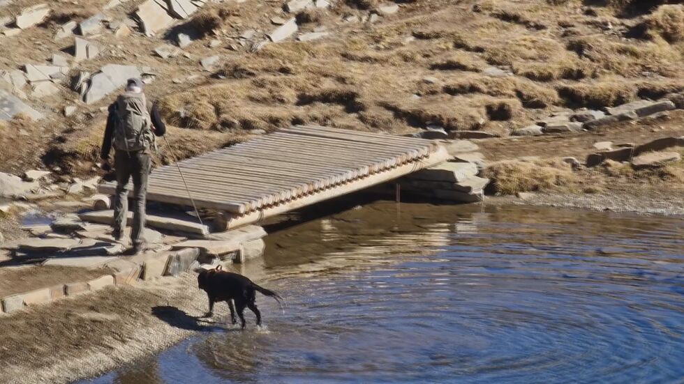 Куче се изкъпа в едно от Седемте рилски езера (ВИДЕО)
