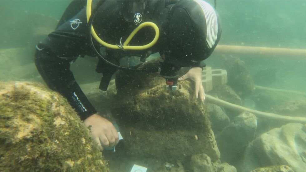 Подводни турове край крепостни стени: Намира ли се под вода половината от древния Несебър?