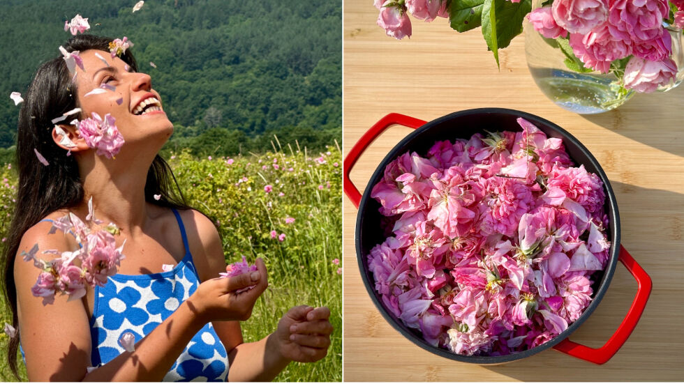 Как да разпознавате истинския аромат на розовото масло - „Вкусът на България“