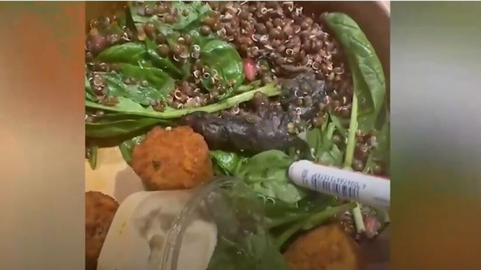 Момичета откриват мъртва мишка в готова салата от супермаркет, след като вече се хранят