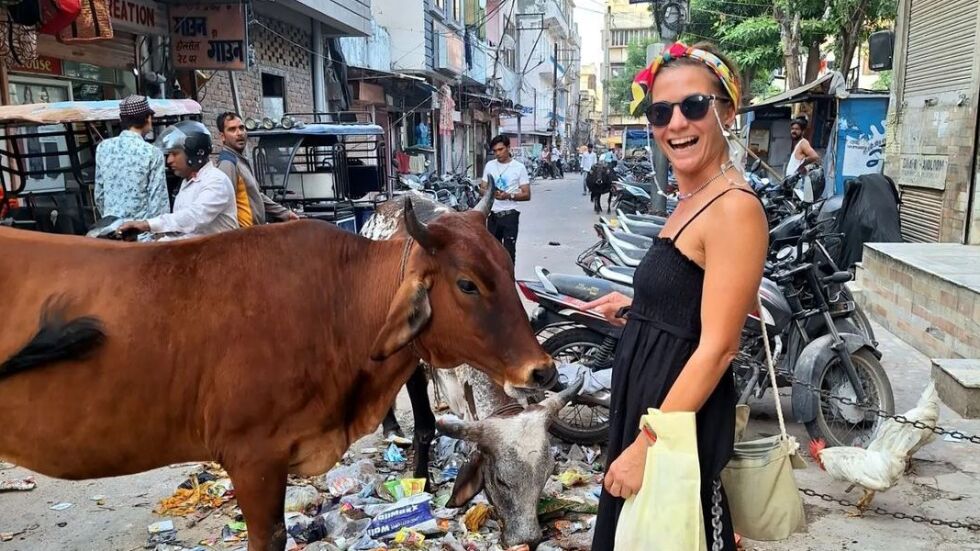 Хепи Ванче в Индия – Защо кравите й станаха несимпатични (СНИМКИ и ВИДЕО)