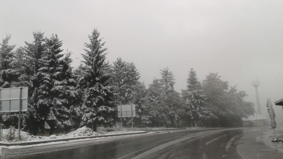 Първи сняг заваля на прохода "Петрохан"