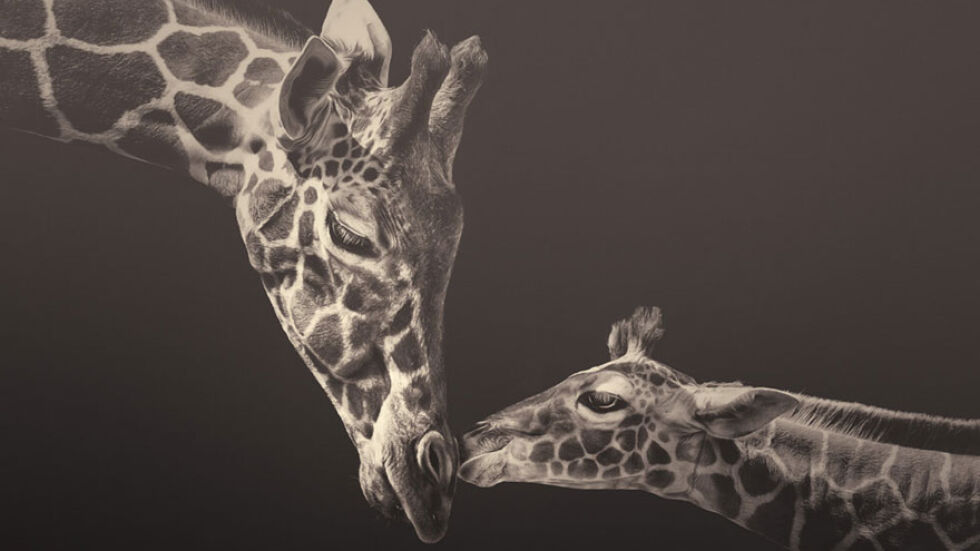10 разтърсващо красиви фотографии на застрашени от изчезване видове