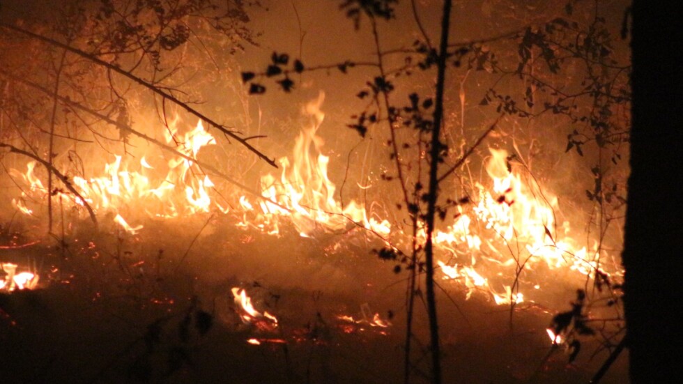 Продължава борбата с новия пожар в Харманлийско