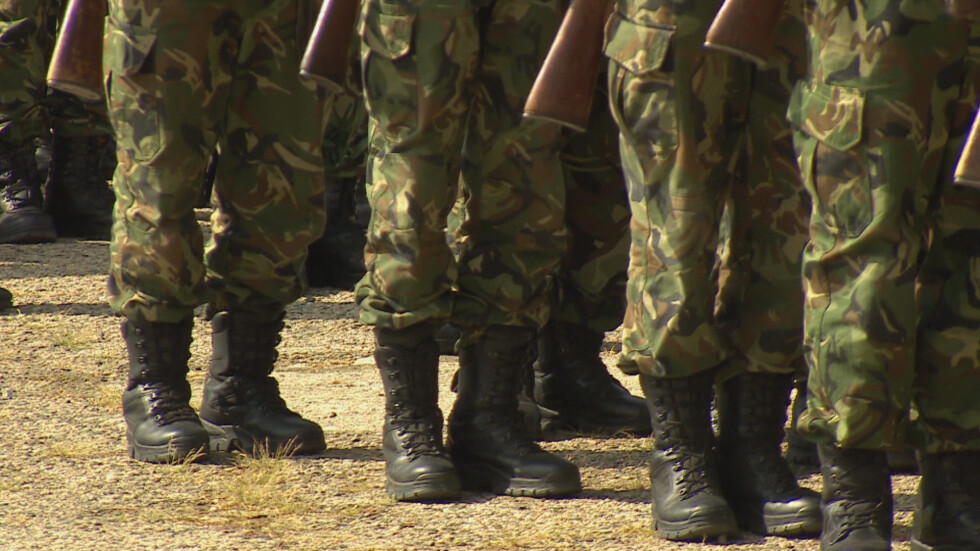 Aрмията има готовност да окаже подкрепа за решаване на проблема с африканската чума