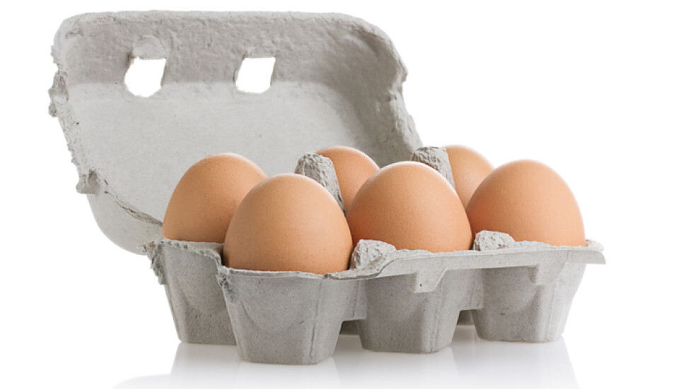 „Чети етикета”: Ще се върнат ли продуктите с опасния яйчен прах с фипронил на пазара